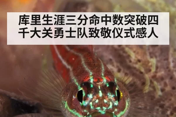 库里生涯三分命中数突破四千大关勇士队致敬仪式感人