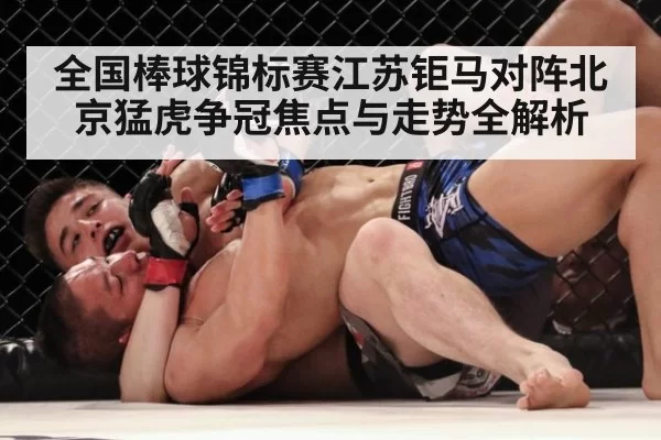 全国棒球锦标赛江苏钜马对阵北京猛虎争冠焦点与走势全解析